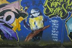 Belfast ___ Peace Wall 3.jpg